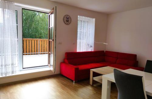 Ricky v Orlickych horach Apartment | Apartmány Říčky