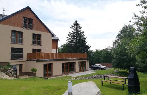 Ricky v Orlickych horach Apartment | Apartmány Říčky "Sněženka"