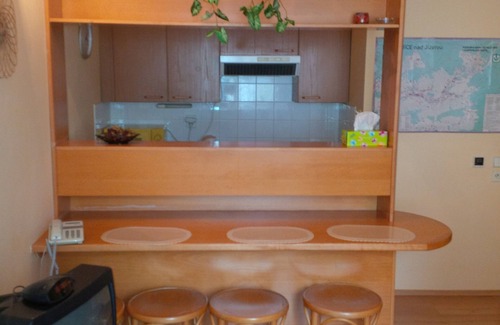 Rokytnice nad Jizerou Apartment | Apartmány Andy
