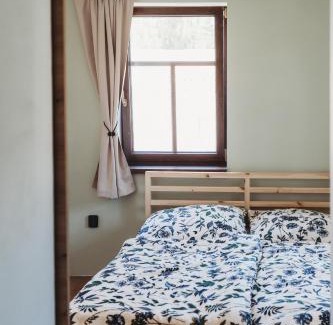 Josefov Dul Apartment | Apartmány Borovice