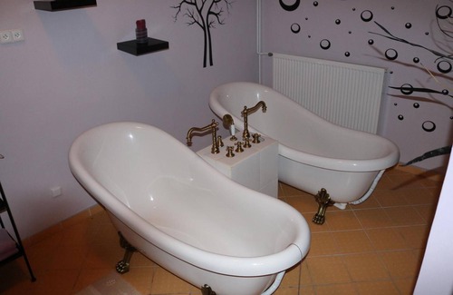 Dolni Moravice Hotel | Apartmány Divoký anděl