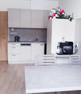 Dolni Morava Apartment | Apartmány Dolní Morava
