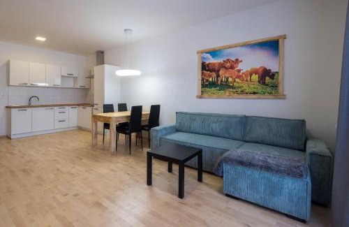 Benecko Apartment | Apartmány Family aréna