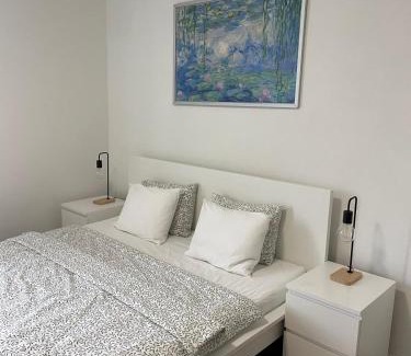 Ostrava City Centre Apartment | Apartmány Fifejdy, Ostrava, centrum