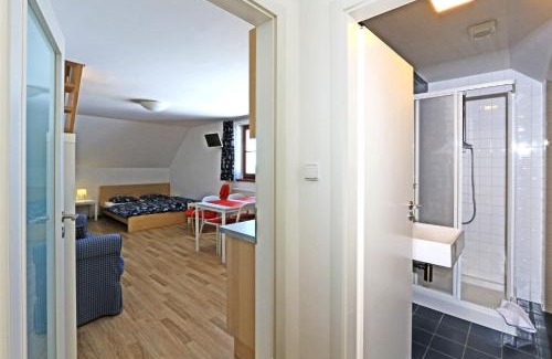 Bozi Dar Apartment | Apartmány Fox