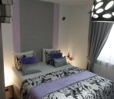 Jablonec nad Nisou House | Apartmány Freesia