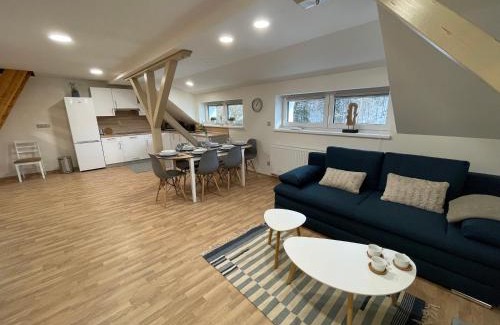 Jachymov Apartment | Apartmány Herc