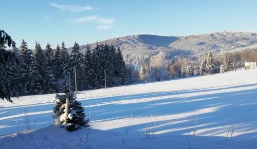 Ricky v Orlickych horach Apartment | Apartmány Julinka