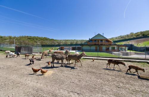 Kurdejov House | Apartmány na Farmě
