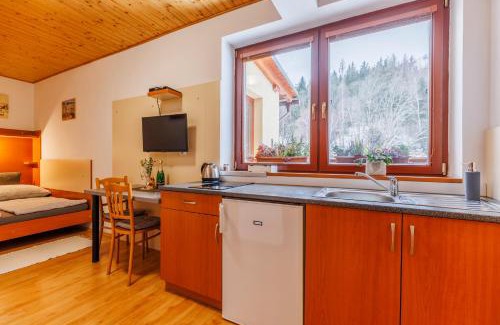 Dolni Morava Apartment | Apartmány Novákovi