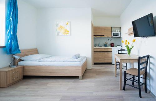 Zvolen Apartment | Apartmány Pokoj Zvolen