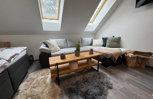 Cerna V Posumavi Apartment | Apartmány Rak Jestřábí