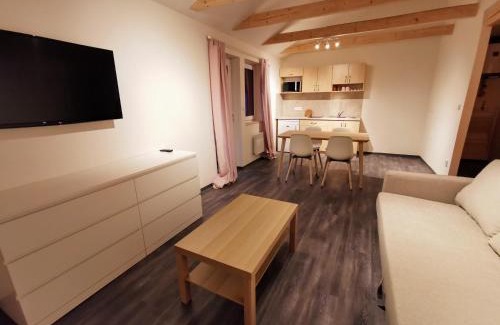 Loucna nad Desnou Apartment | Apartmány Ski areal Kareš