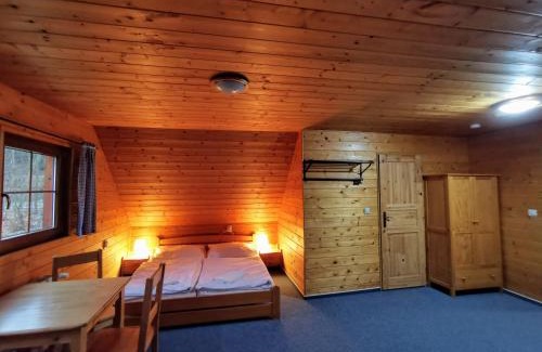 Loucna nad Desnou Apartment | Apartmány Ski areal Kareš