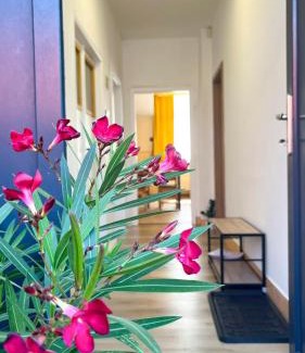 Jakubovany Apartment | Apartmány SVRČINKY