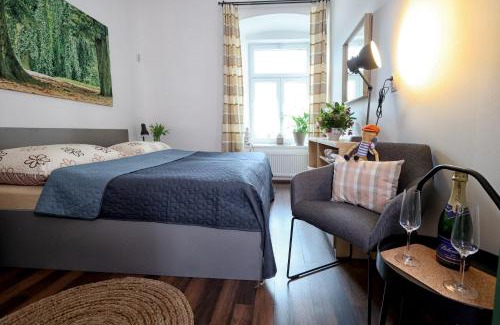 Dolni Morava Apartment | Apartmány U Aloise