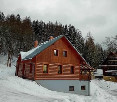 Rokytnice nad Jizerou Apartment | Apartmány u Gothaje