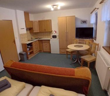 Rokytnice nad Jizerou Apartment | Apartmány u Gothaje