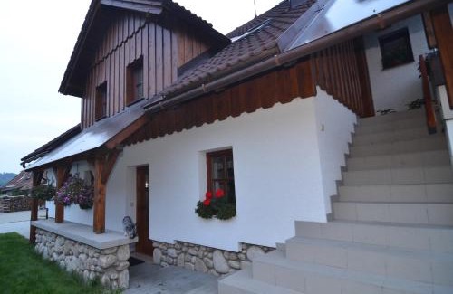 Rokytnice nad Jizerou Apartment | Apartmány Votočkovi