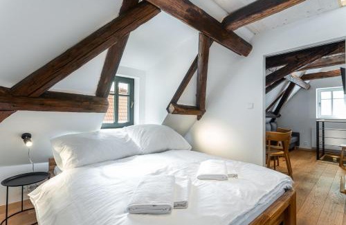 Bozi Dar Apartment | Apartmány VOLF - Boží Dar