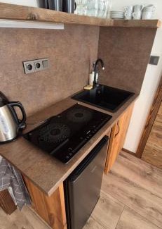 Nove Mesto pod Smrkem Apartment | Apartmány ZeMě