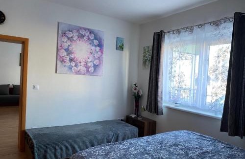 Trebon House | Apartman c.8 Magnolie