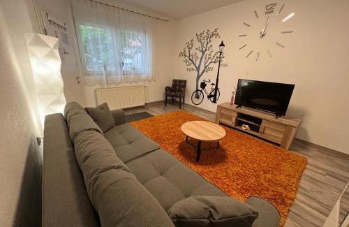 Osijek Apartment | Apartman Dunav - PARKING - Self check in