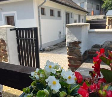 Nesvady Apartment | Apartman - Garden - Vendégház 2