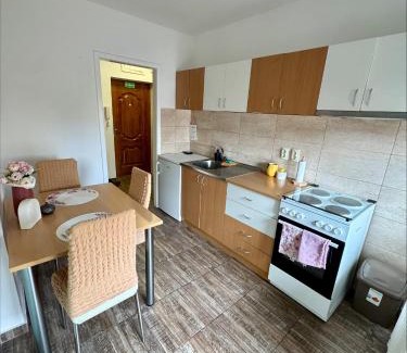 Kikinda Apartment | Apartman Nest