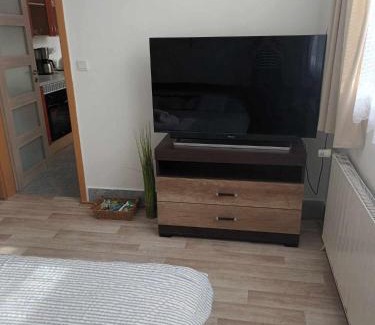 Olomouc Apartment | APARTMAN Olomouc 2KK