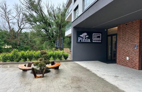 Banka Apartment | Apartman Pinia