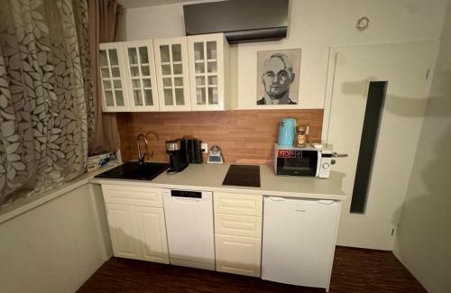 Trnavka House | apartman pri X Bionic Sphere Samorin s bazenom