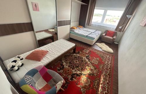 Trnavka House | apartman pri X Bionic Sphere Samorin s bazenom
