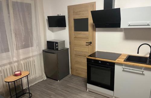 Decin Apartment | Apartman Riegrova 41