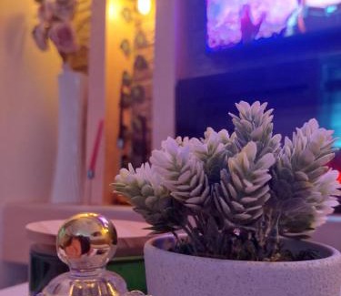 Vojvodina Apartment | Apartman Star LUX