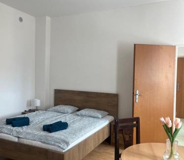 Jicin Apartment | Apartman VAJB