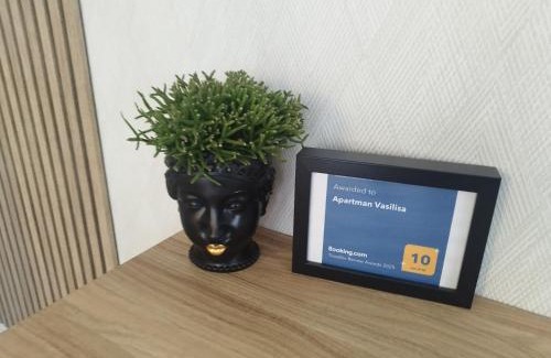 Novi Sad Apartment | Apartman Vasilisa