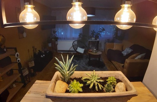 Subotica Apartment | Apartmani Đurić