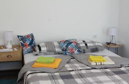 Pirot Apartment | Apartmani Borovi