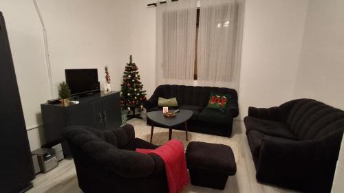 Novi Becej Apartment | Apartmani Komoč
