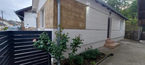 Vrdnik Apartment | Apartmani Vranić