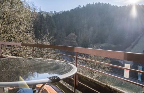 Bad Peterstal-Griesbach Apartment | Apartment 'Frechehof' with Mountain View, Shared Garden and Wi-Fi