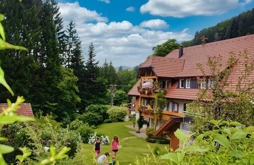 Bad Peterstal-Griesbach Apartment | Apartment '1 Zimmer' with Mountain View, Shared Terrace and Wi-Fi