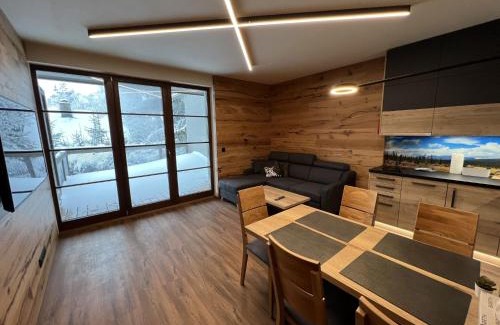 Ricky v Orlickych horach Apartment | Apartment Říčky v Orlických horách C21 by Interhome