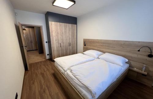 Ricky v Orlickych horach Apartment | Apartment Říčky v Orlických horách C21 by Interhome