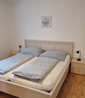 Bad Ischl Apartment | Apartment 11
