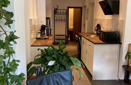 Feld am See Bed & Breakfast | Apartment 2 bedrooms 1st floor lake view 12 - Aparthotel Seebrauer am Afritzer