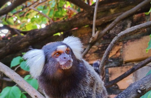 Maceio Apartment | Apartment 300m from the beach