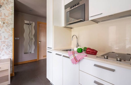 Cangas de Onis Apartment | Apartment '3ºd Apartamento 4 Adultos' with Balcony and Wi-Fi