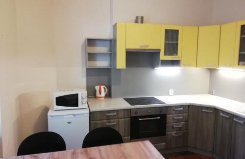 Karlovy Vary Apartment | Apartment 70m2